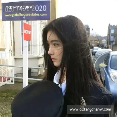 段俪剑
